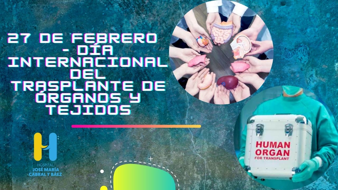 You are currently viewing Día Internacional del Trasplante de Órganos y Tejidos