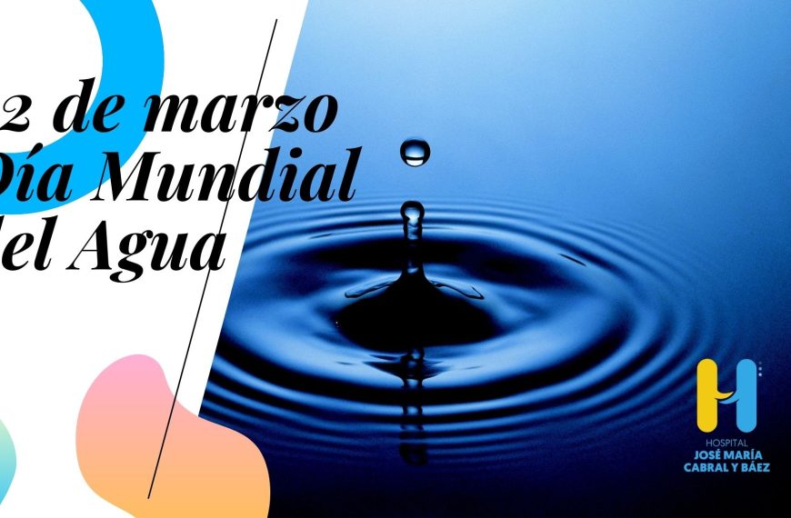El D&iacute;a Mundial del Agua