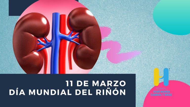 Read more about the article Día Mundial del Riñón