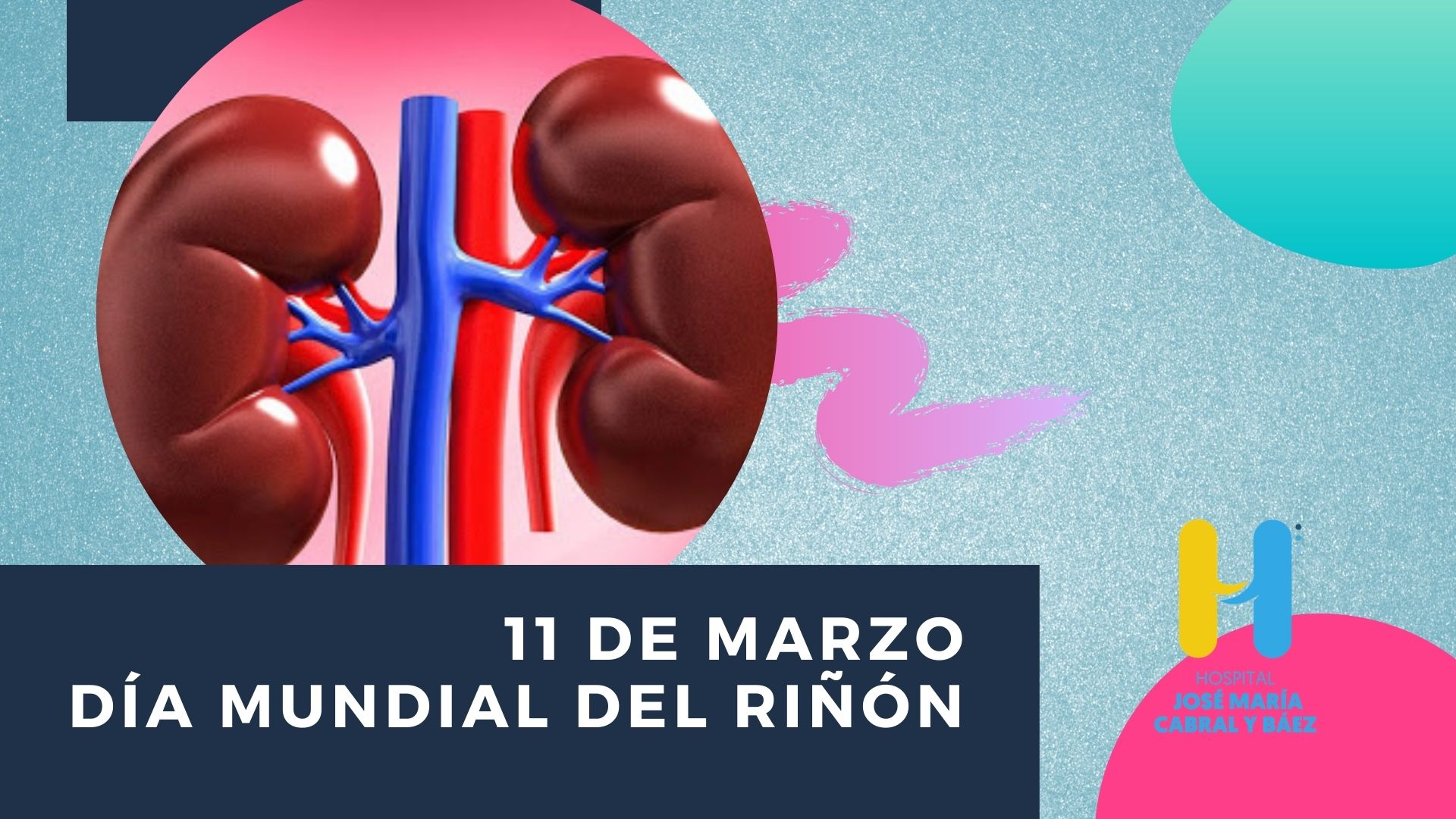 You are currently viewing Día Mundial del Riñón
