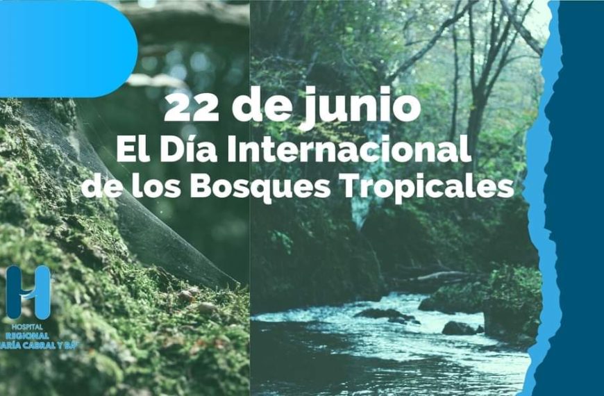 D&iacute;a Internacional de los Bosques