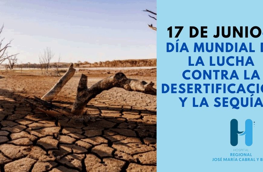El D&iacute;a de Lucha contra la Desertificaci&oacute;n y la Sequ&iacute;a