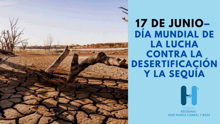 Read more about the article El Día de Lucha contra la Desertificación y la Sequía
