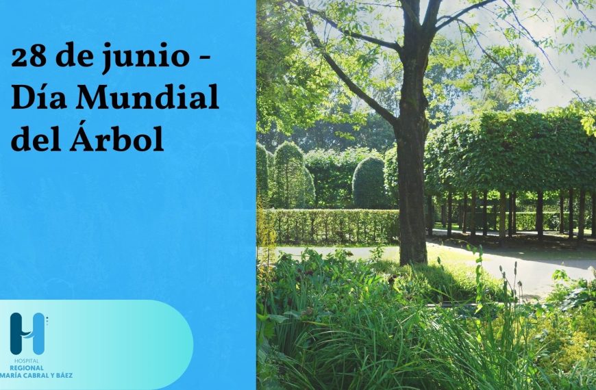 D&iacute;a Mundial del &Aacute;rbol el 28 de junio