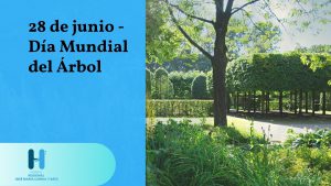 Read more about the article Día Mundial del Árbol el 28 de junio